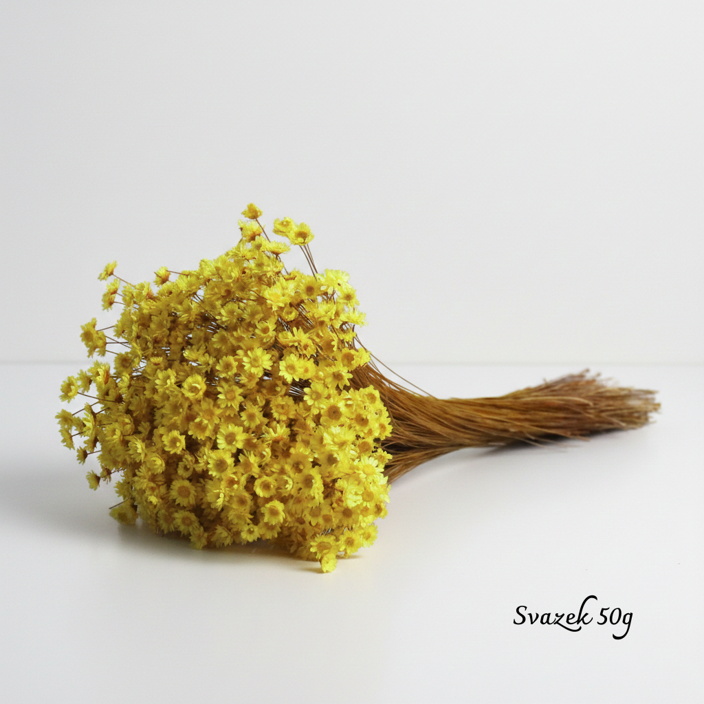 Sušená Glixia Marcella žlutá – sušená květina ve svěží žluté barvě vhodná pro kytice, věnce a výzdobu